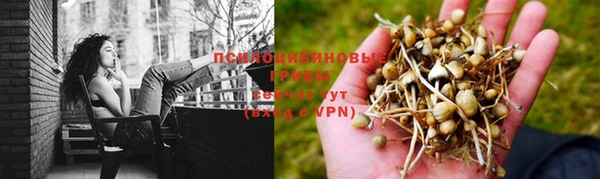 кокаин перу Аркадак