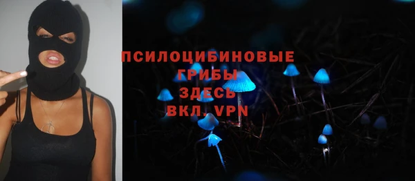 твердый Рославль