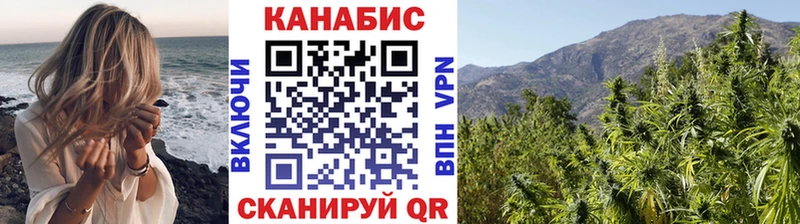 Шишки марихуана планчик  наркота  Талица 